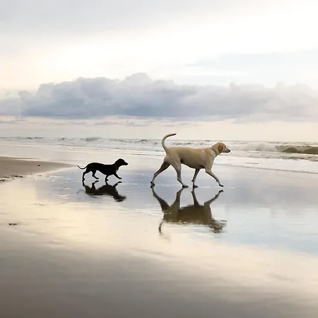 Casa de Férias Seashells Reighton