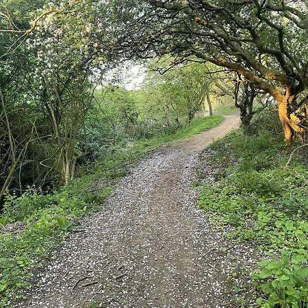 Casa de Férias Seashells Reighton